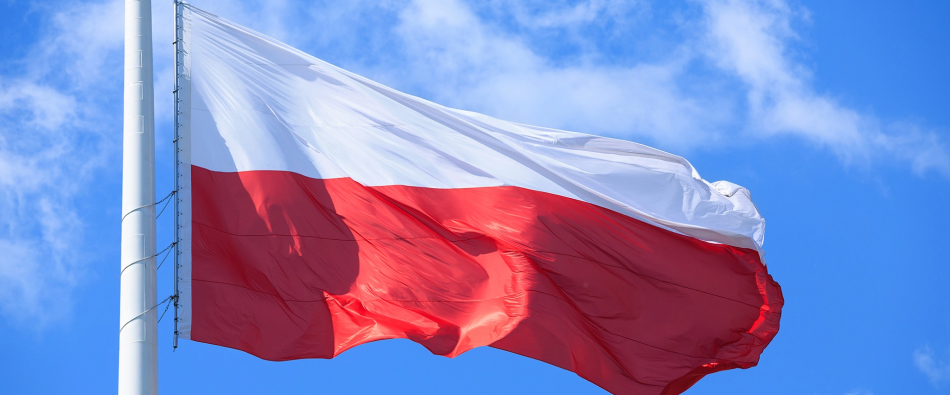 Как иностранцу получить налоговые льготы в Польше — условия и нюансы