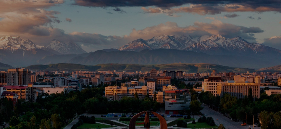 Гражданство Кыргызской Республики