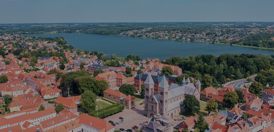 Гражданство Дании